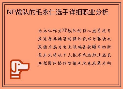 NP战队的毛永仁选手详细职业分析