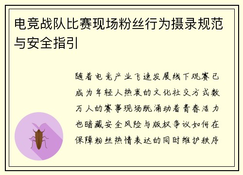 电竞战队比赛现场粉丝行为摄录规范与安全指引